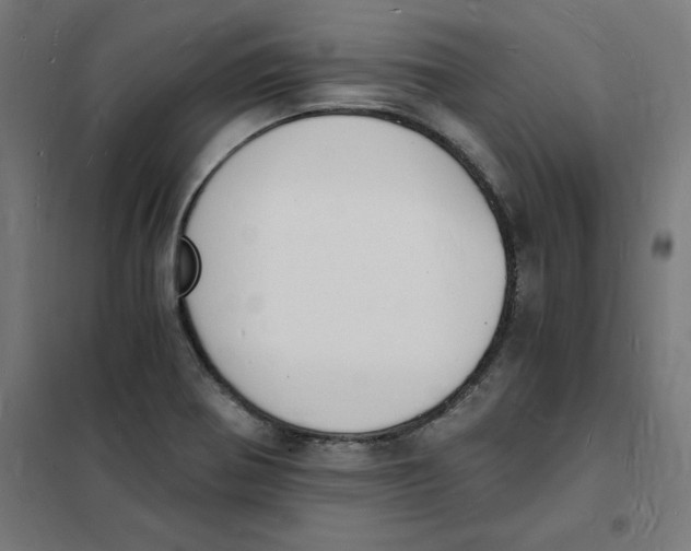 X0000101671370200808071034