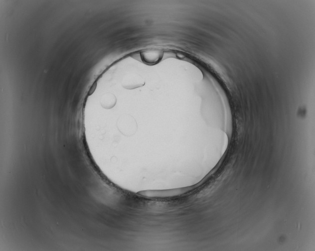 X0000101671371200808071034