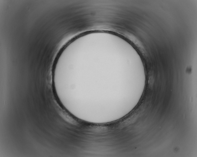 X0000101671372200808071034