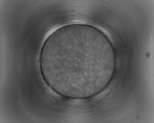 X0000101671373200808071034