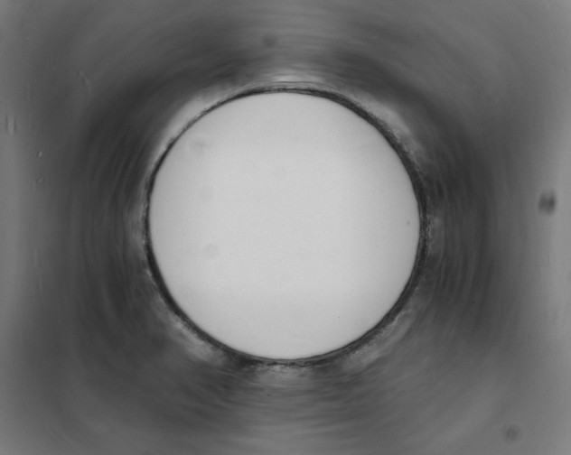 X0000101671374200808071034