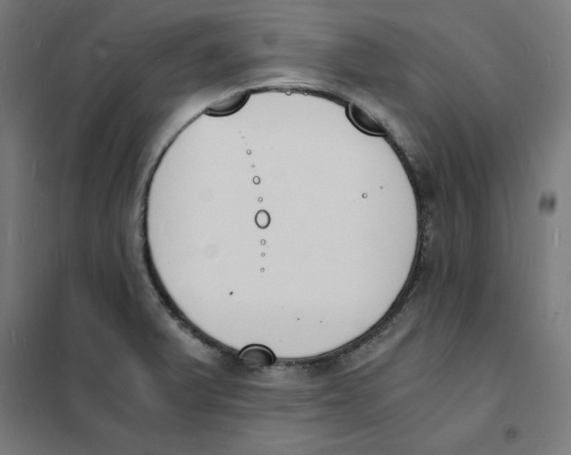 X0000101671375200808071034