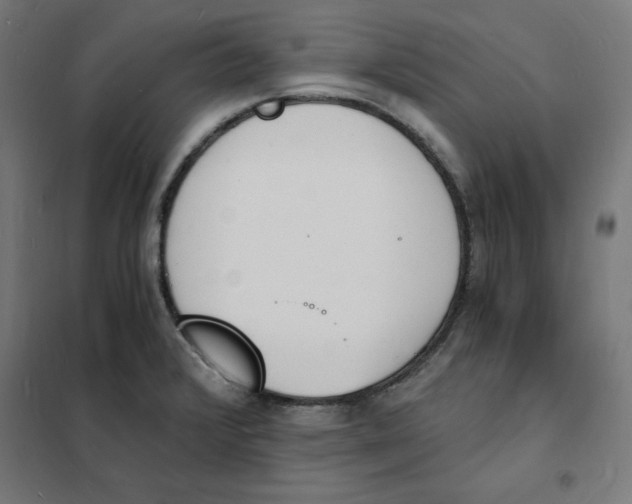 X0000101671376200808071034