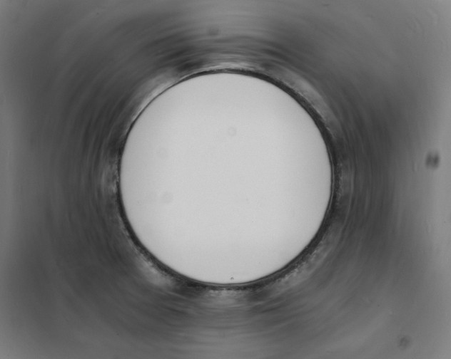 X0000101671377200808071034