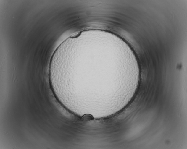 X0000101671378200808071034