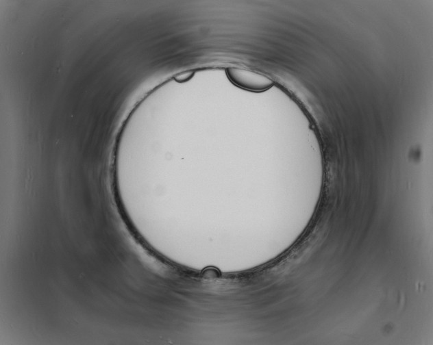 X0000101671379200808071034