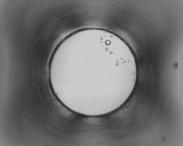 X0000101671380200808071034