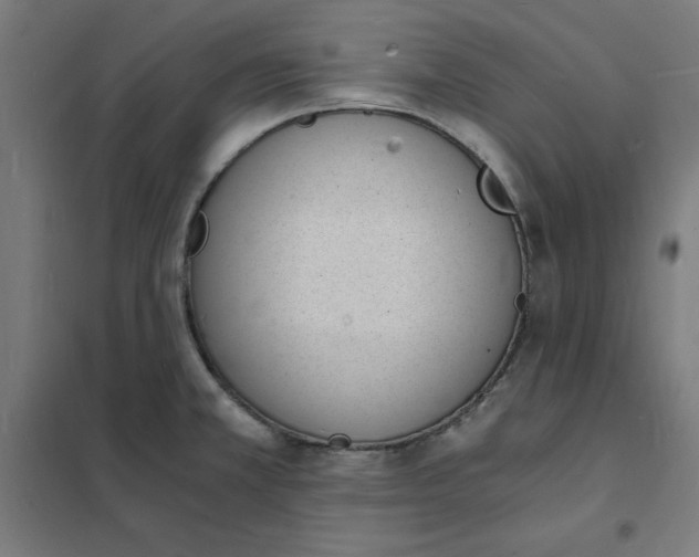 X0000101671381200808071034
