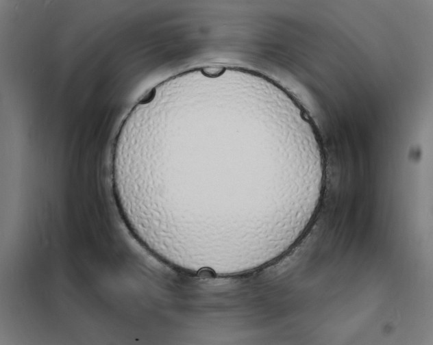 X0000101671382200808071034