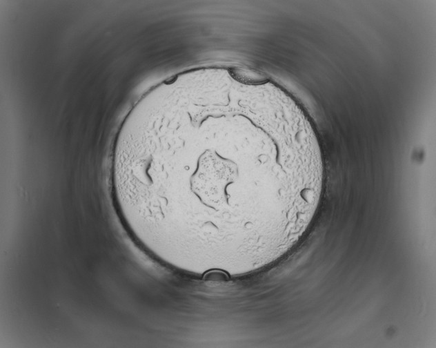 X0000101671383200808071034