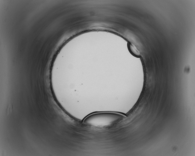 X0000101671384200808071034