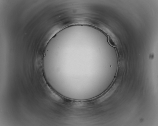 X0000101671385200808071034