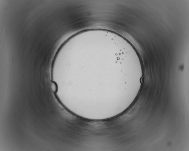 X0000101671388200808071034