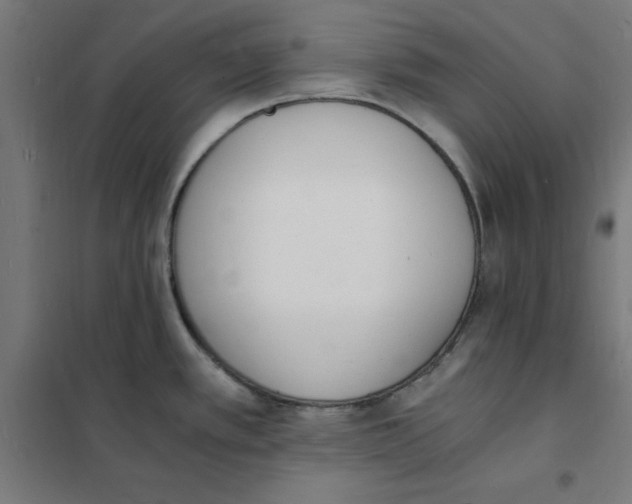 X0000101671389200808071034