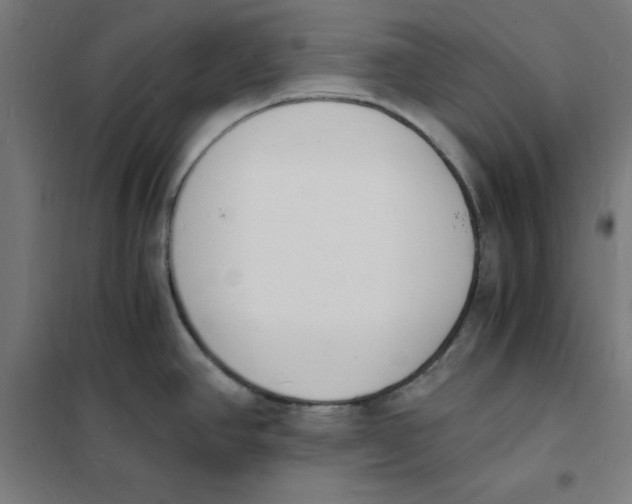 X0000101671390200808071034