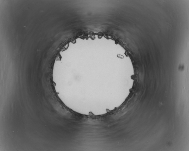 X0000101671393200808071033