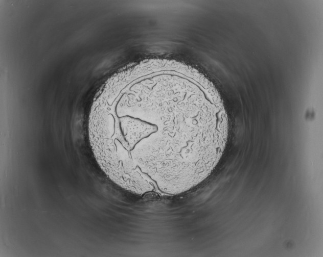 X0000101671394200808071033