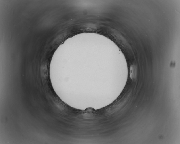 X0000101671395200808071033
