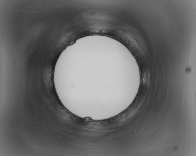 X0000101671396200808071033