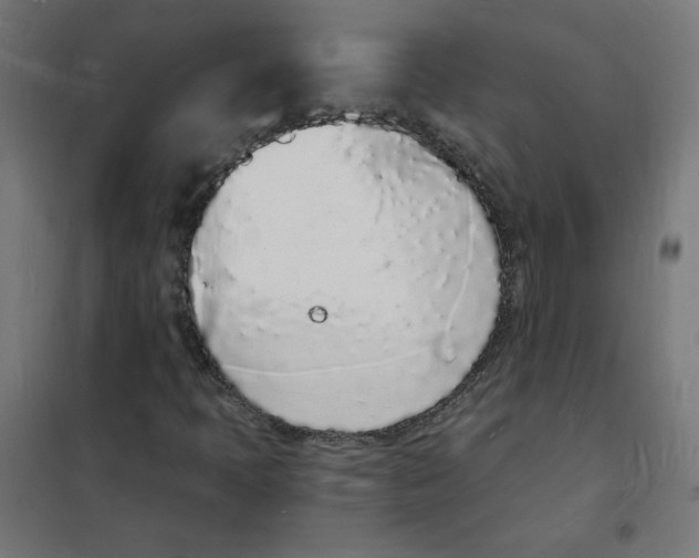 X0000101671397200808071033