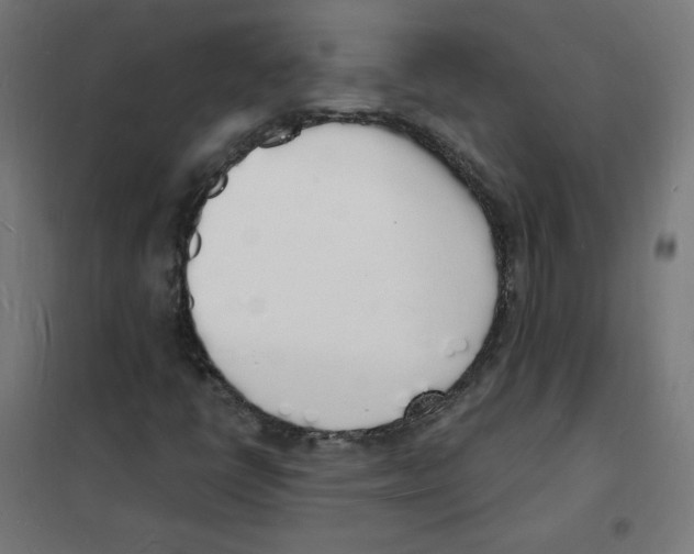X0000101671398200808071033