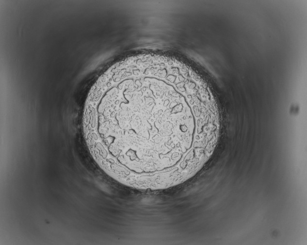 X0000101671399200808071033