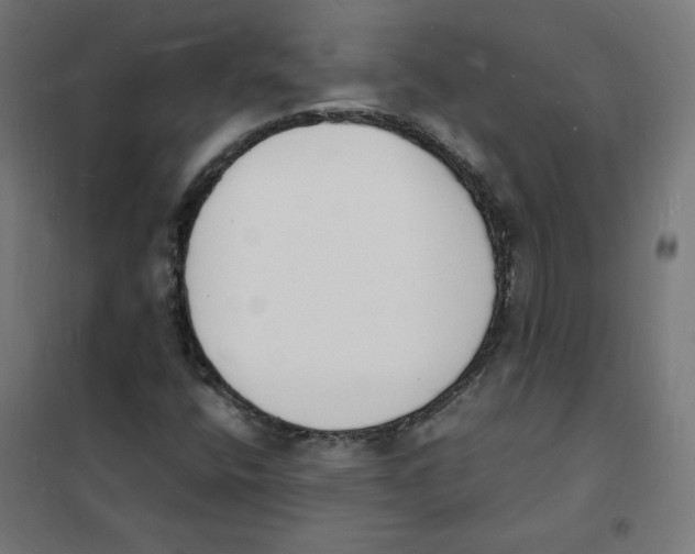 X0000101671400200808071033