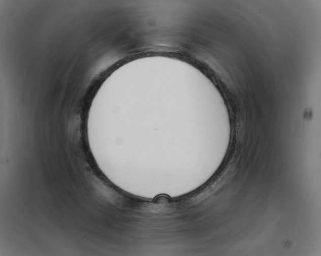 X0000101671402200808071033