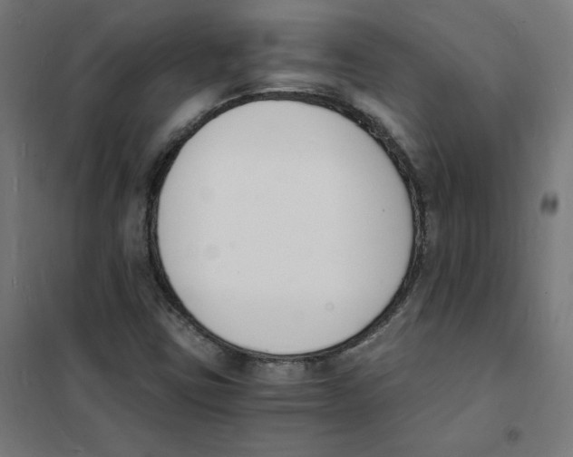 X0000101671403200808071033