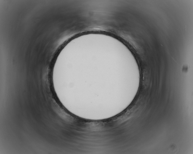 X0000101671404200808071033