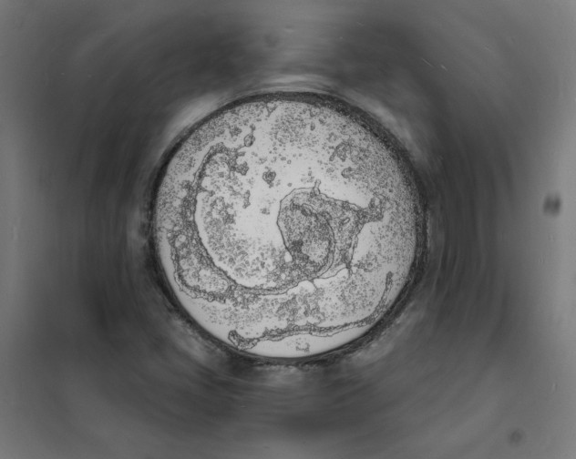 X0000101671405200808071034