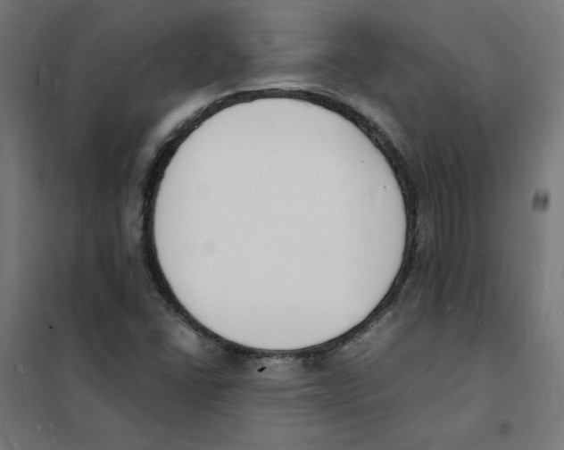 X0000101671406200808071034