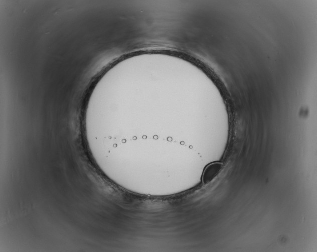 X0000101671407200808071034