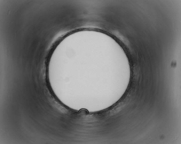 X0000101671408200808071034