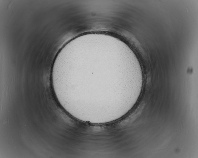 X0000101671409200808071034