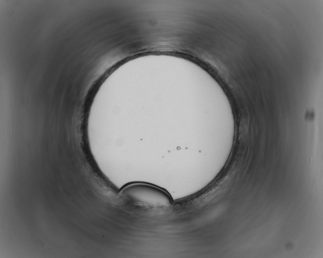X0000101671410200808071034