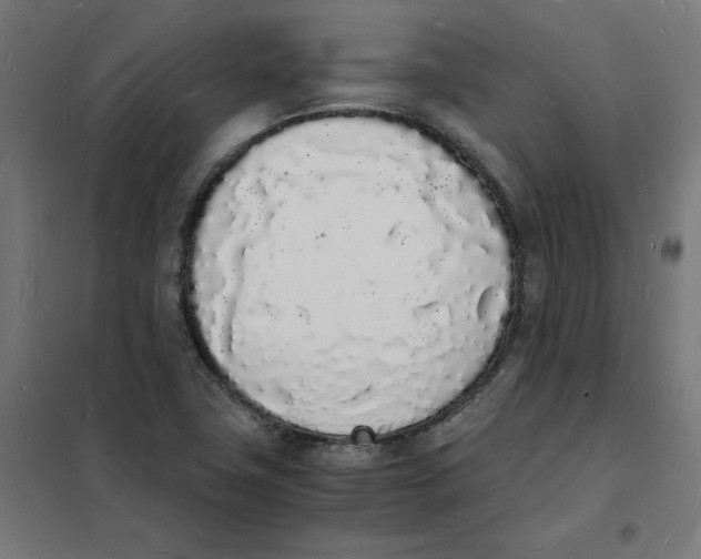 X0000101671411200808071034