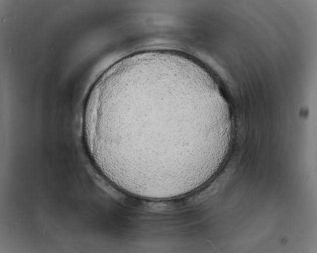 X0000101671413200808071034