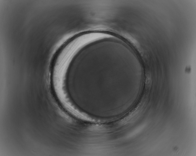 X0000101671414200808071034