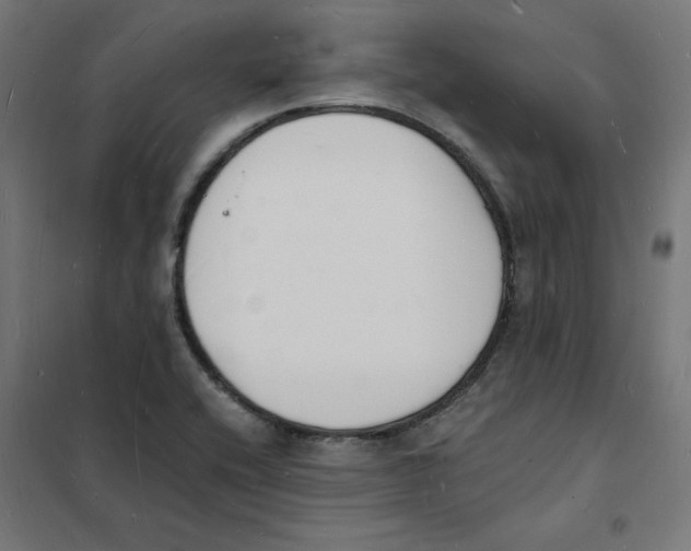 X0000101671416200808071034