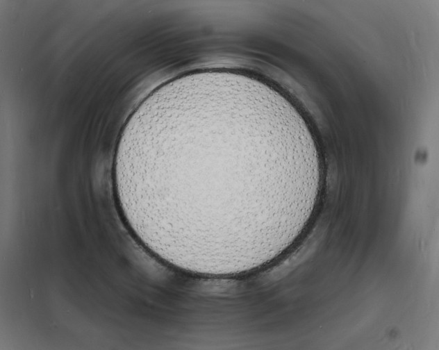 X0000101671417200808071034