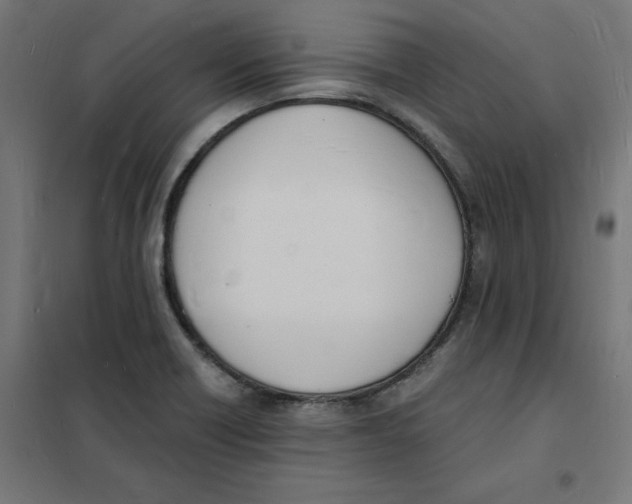 X0000101671418200808071034
