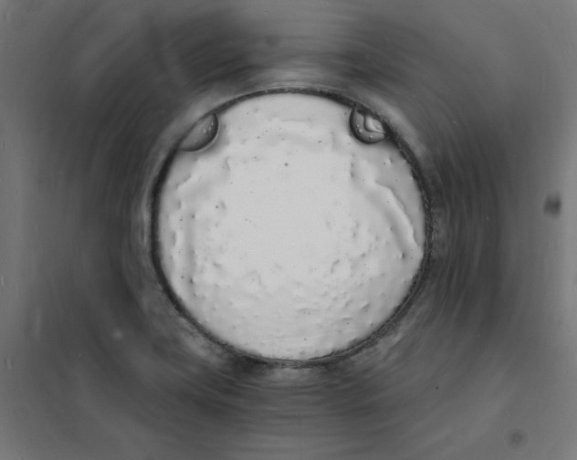 X0000101671419200808071034