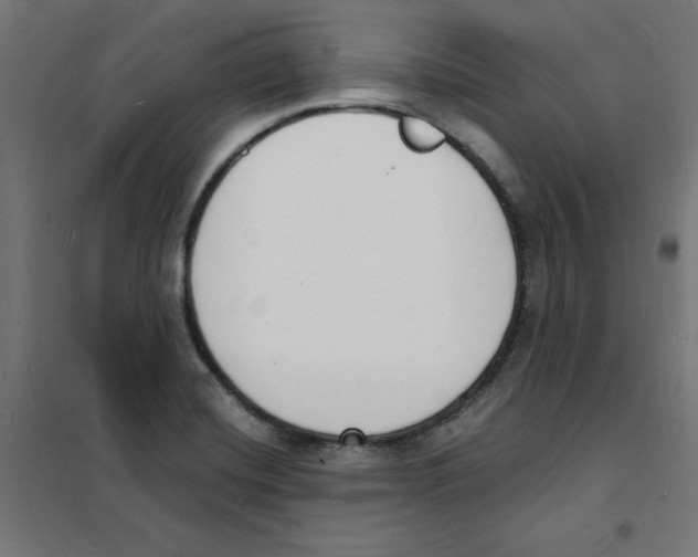 X0000101671420200808071034