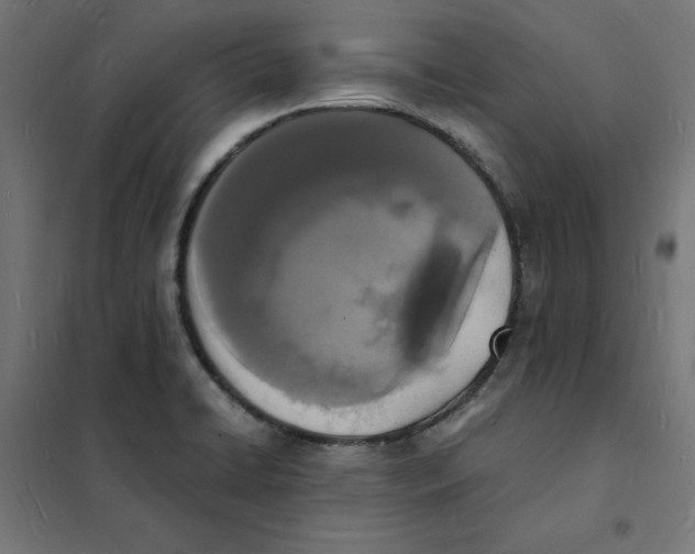 X0000101671422200808071034