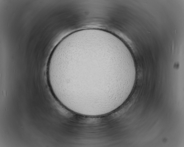 X0000101671423200808071034