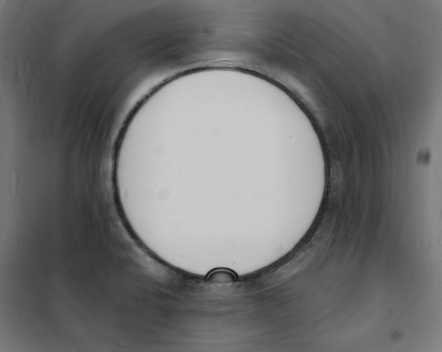 X0000101671424200808071034