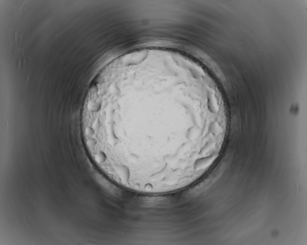 X0000101671425200808071034