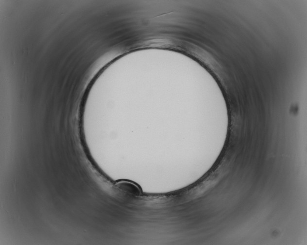 X0000101671426200808071034