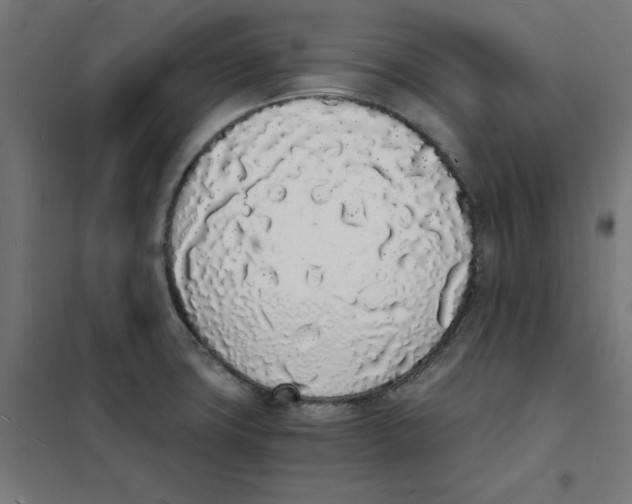 X0000101671427200808071034